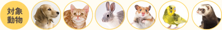 対象動物 犬、猫、ウサギ、ハムスター、鳥、フェレットなど