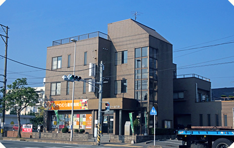 かわむら動物病院