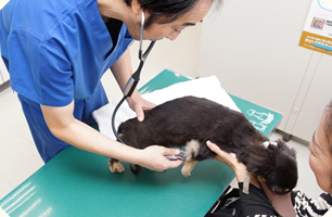 一般診療・健康診断