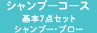 ノーマルシャンプーコース